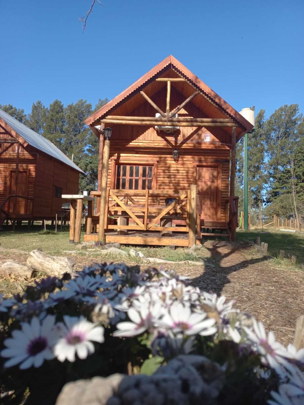 WhatsApp Image 2025-10-20 at 10.01.29 (1)