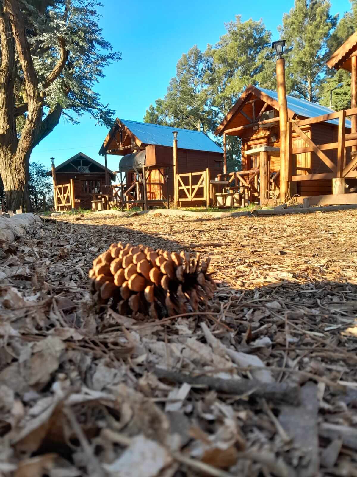 WhatsApp Image 2025-10-20 at 10.06.47