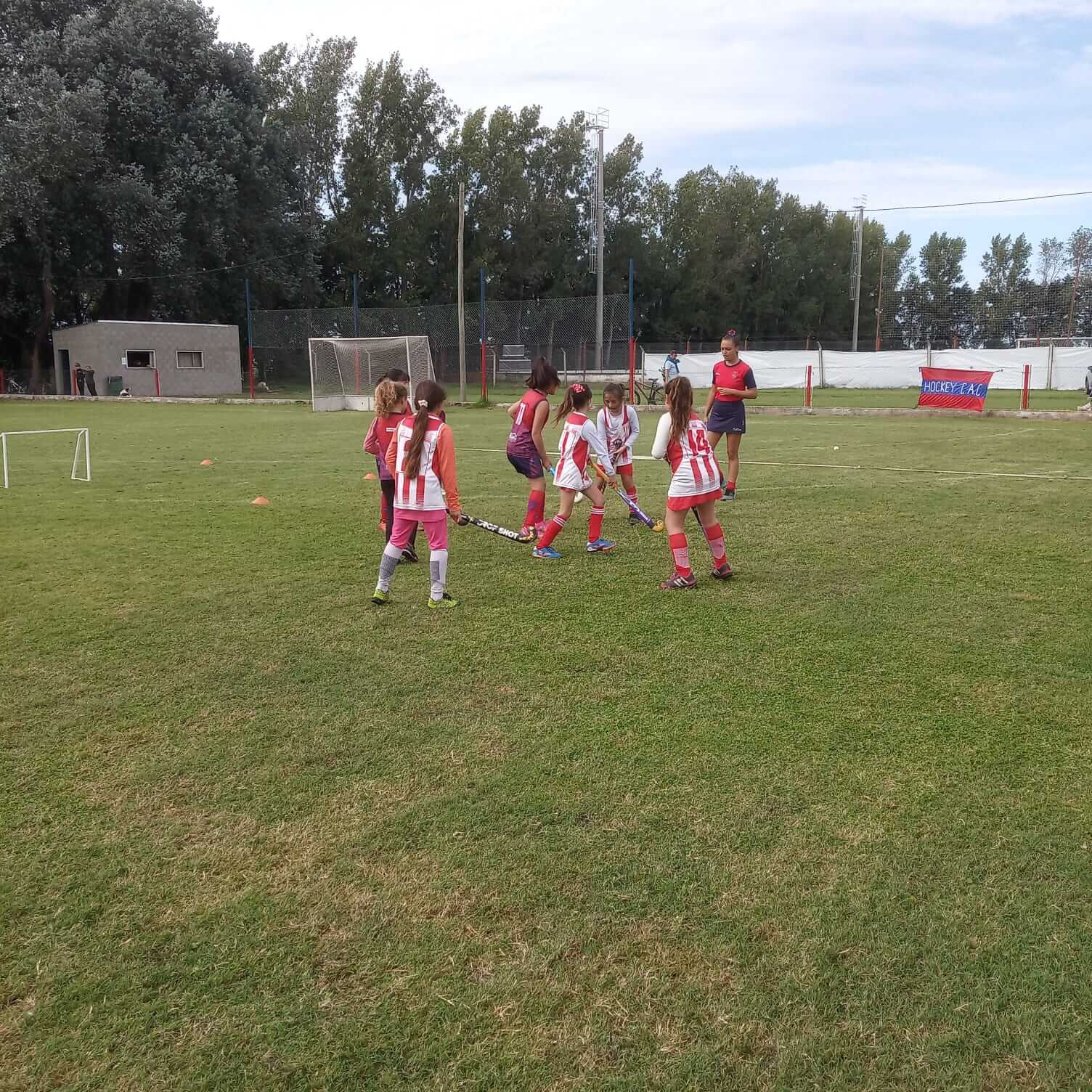 WhatsApp Image 2025-11-17 at 08.26.23